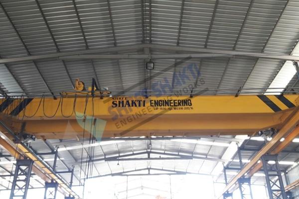 Extensive range EOT Cranes Supplier